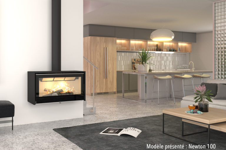 Newton_100_mural_page_produit
